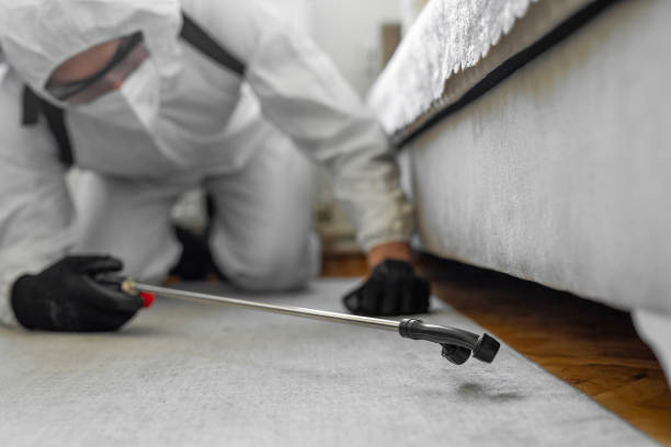 Professional Bed Bug Control technician working in Giles County County, VA